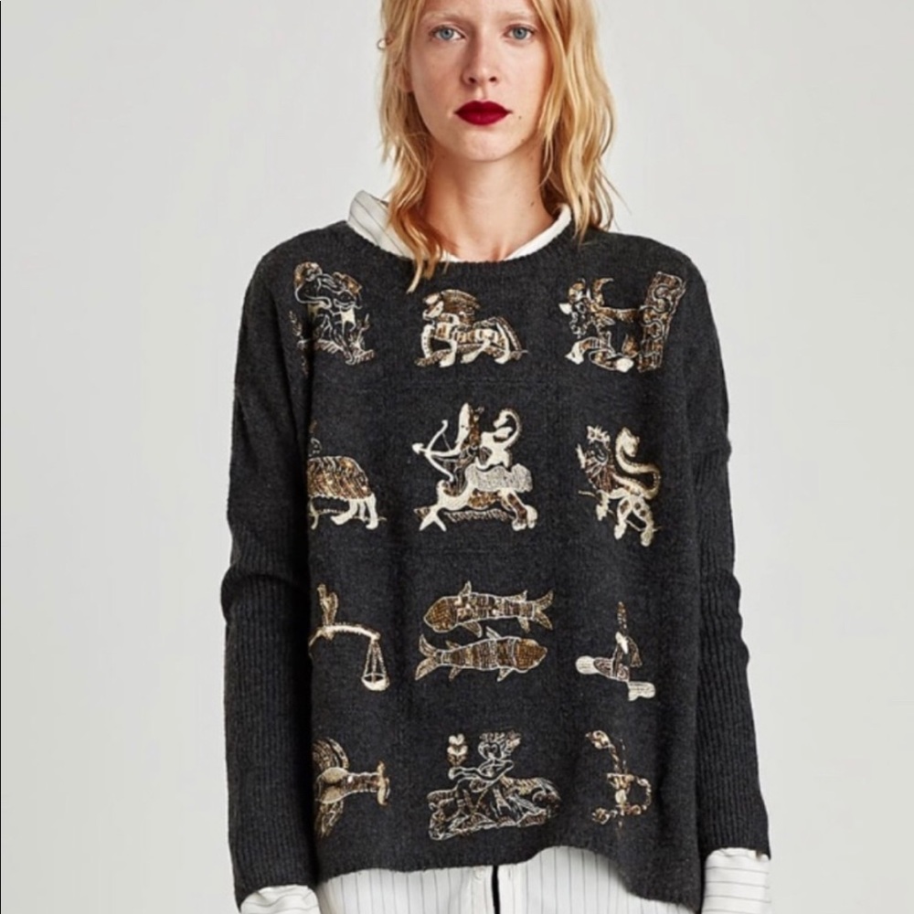 Zara zodiac sweater